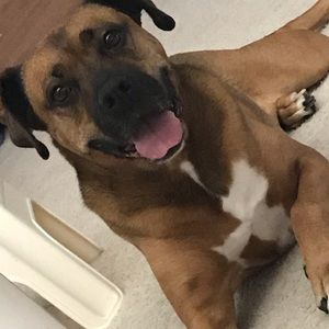 Meet your Posher, Brandon